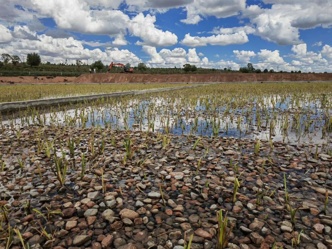 内蒙古杭锦旗锡尼镇污水处理厂.jpeg