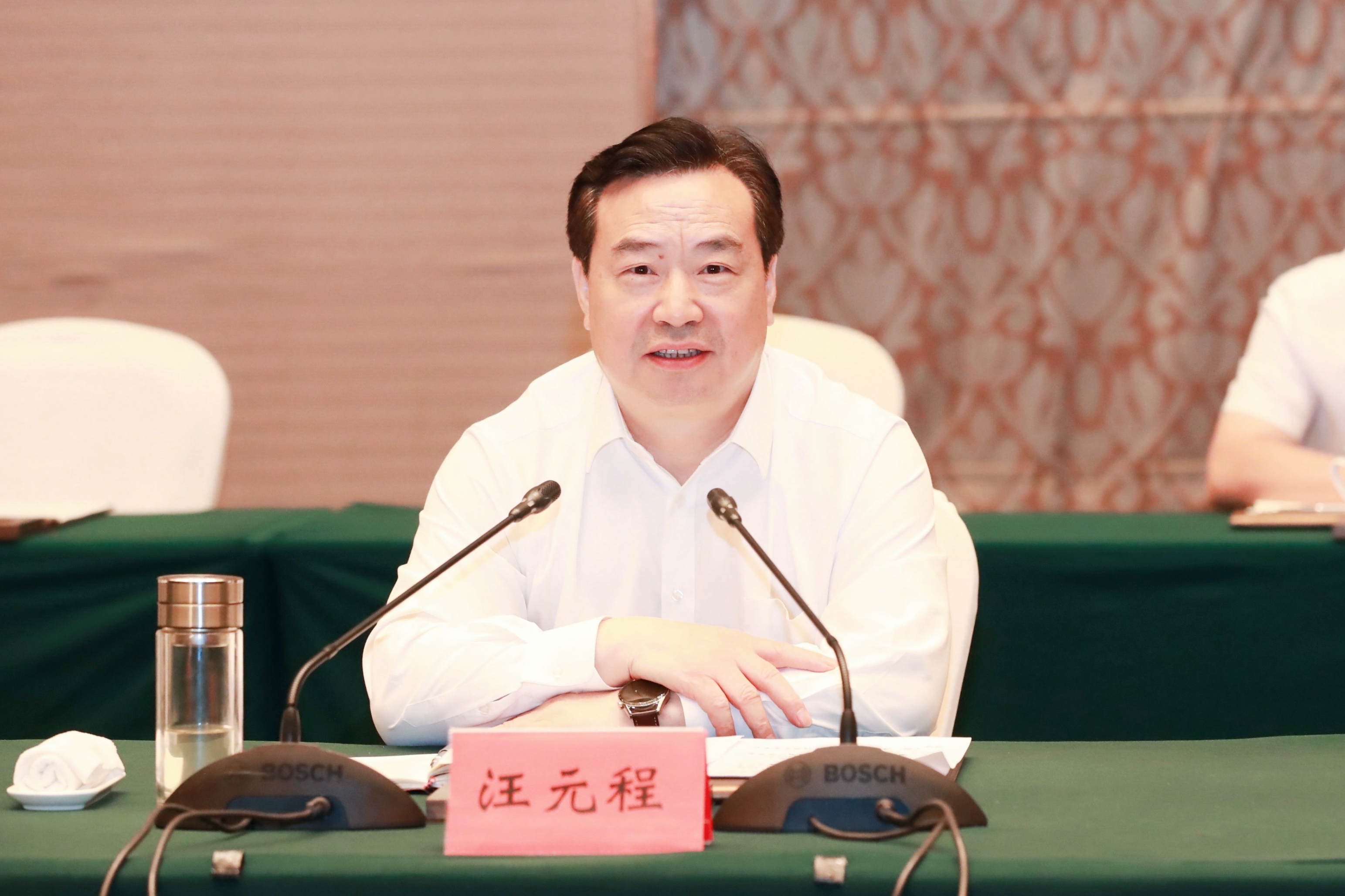 汪元程 汪元程.jpg